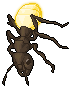 link:Glowing Ant