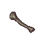 Tibia.png