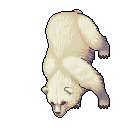 Polar Bear.gif
