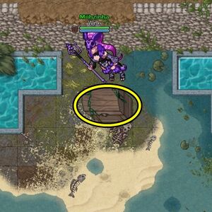 Resonarium - Bau da Lira.jpg