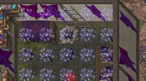 Acesso a Nekrotus - Produzindo Pocoes 04.jpg